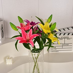 Lily