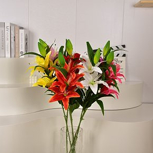 Lily
