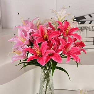 Lily