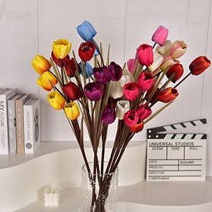 Tulips