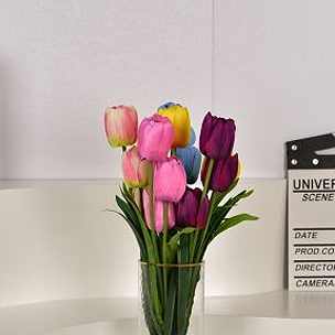 Tulips