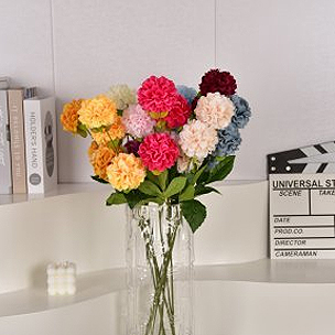 Chrysanthemum
