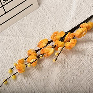 Winter jasmine